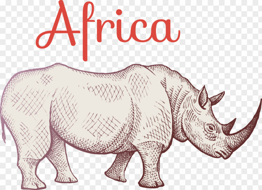Vector Cartoon Rhino Rhinoceros Giraffe Hippopotamus African Elephant PNG