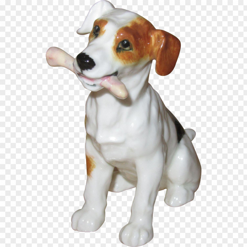 Bone Dog Jack Russell Terrier English Foxhound Parson Harrier Beagle PNG