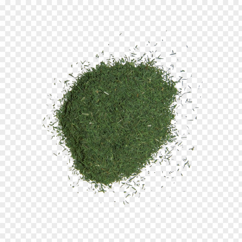 CHINESE HERBS Green PNG