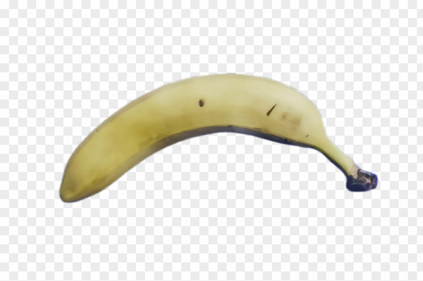 Cooking Plantain Fruit Banana Family Yellow Plant PNG
