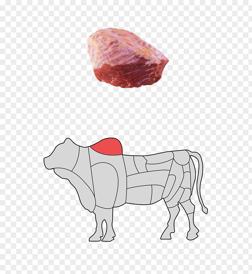 Dog Pig Cattle Mammal Snout PNG