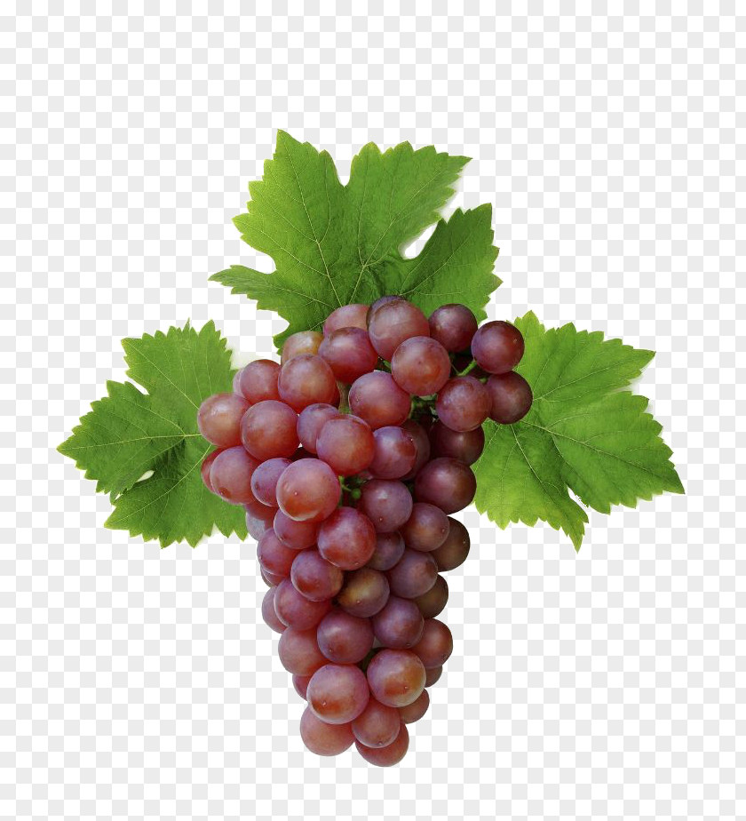 Grained Grapevines Desktop Wallpaper High-definition Television Display Resolution PNG