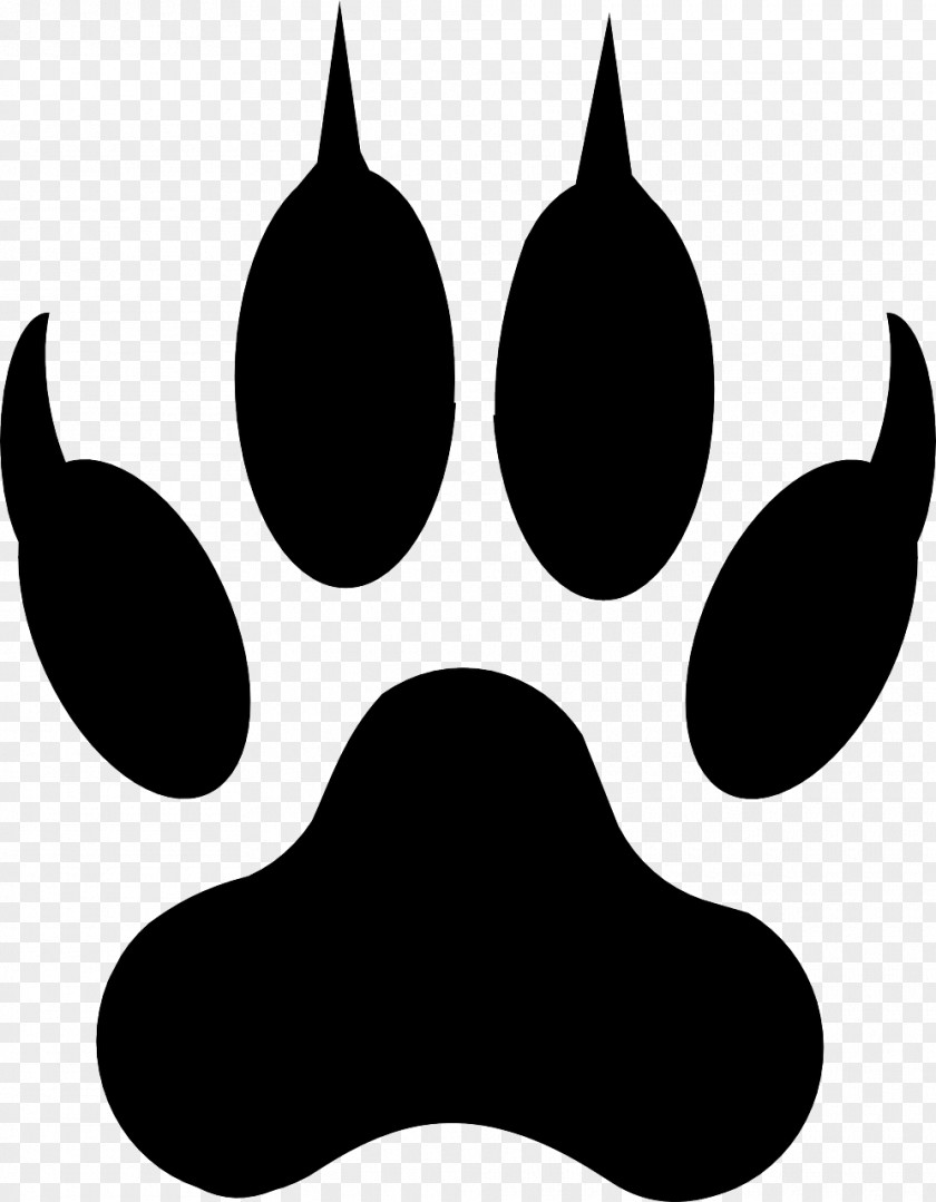 Tiger Gray Wolf Paw Cat Clip Art PNG