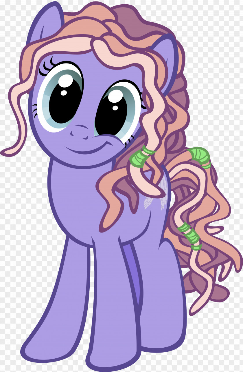 Wisteria Rainbow Dash My Little Pony Violet PNG
