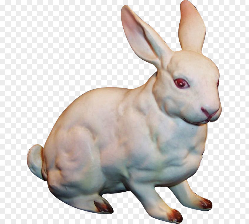 Bunny Rabbit Hare Domestic Easter Bunnies & Rabbits PNG