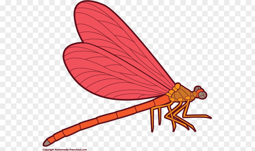 Dragonfly Cliparts Download Clip Art PNG