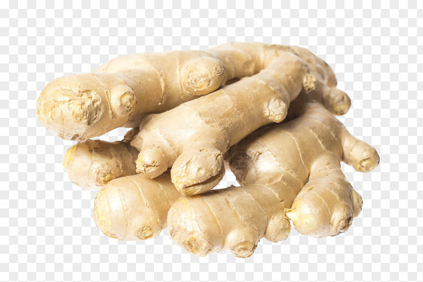 Ginger Photograph Food U611fu5192 Eating Extract PNG