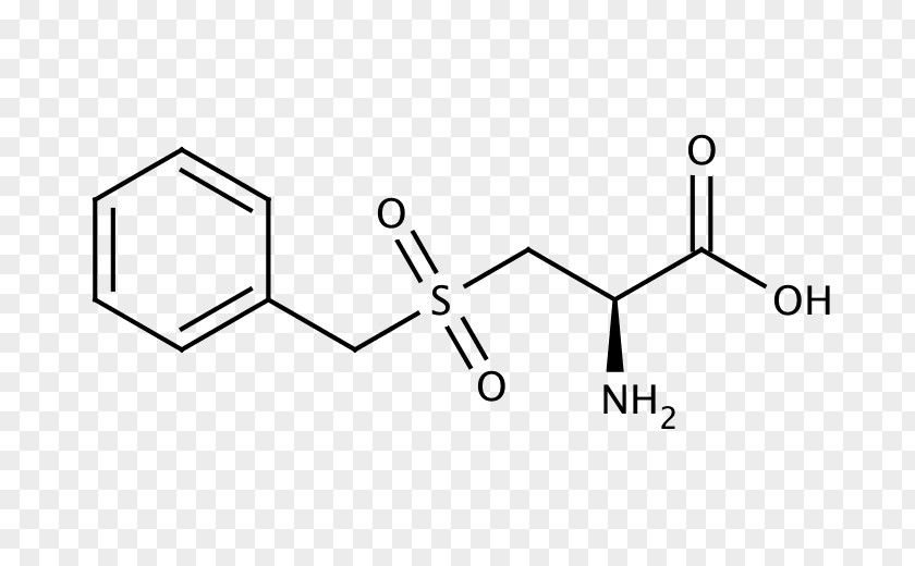 Leucine Amino Acid Arginine Hippuric PNG