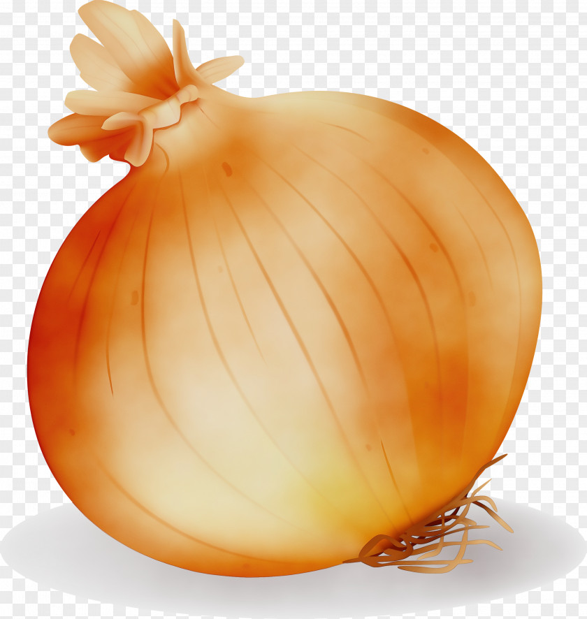 Amaryllis Family Pearl Onion Yellow Vegetable Food Allium PNG