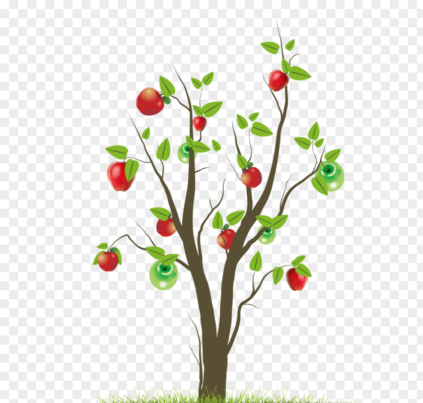 Apple Tree Cartoon Download Wall Decal Leaf Sticker PNG