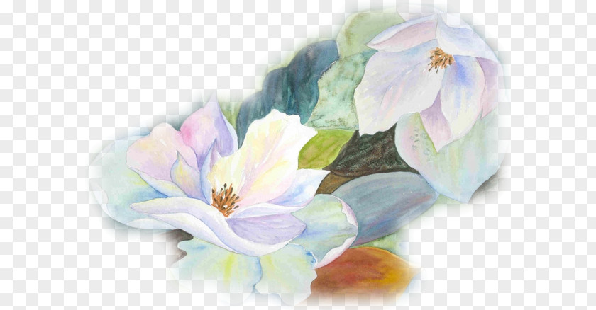 Fleur Blanche Watercolor Painting Décoration Furniture PNG