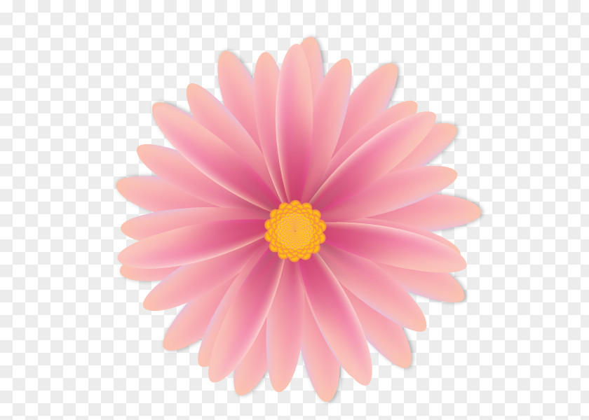 Flowers Watermark Stock Photography PNG
