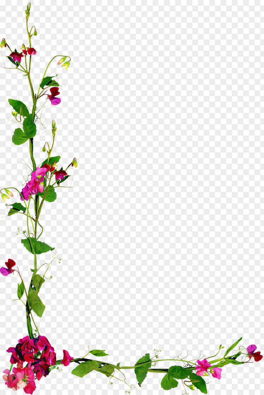 Herbaceous Plant Floral Design PNG