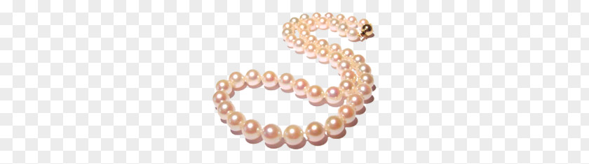 Pearls PNG clipart PNG