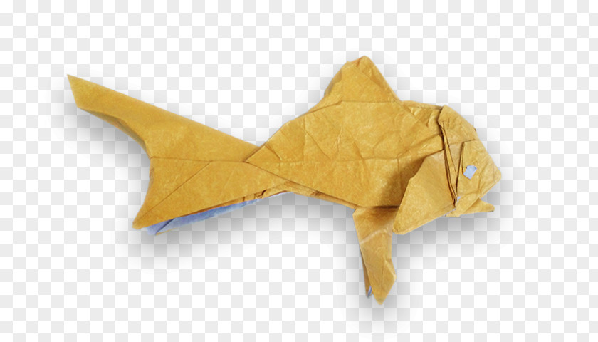 Peixe Dourado Brasil Origami Paper Dobradura Brazil PNG