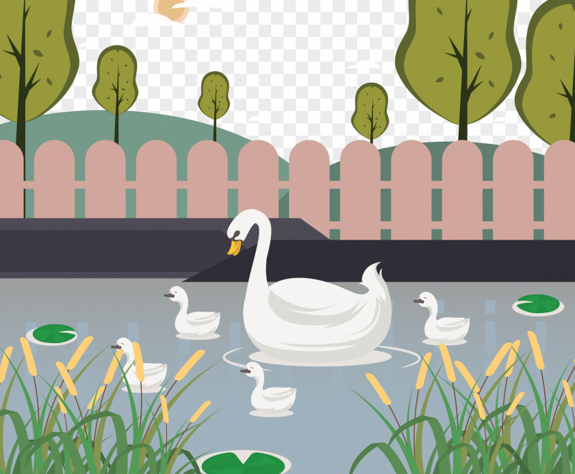Pond Lake Duck Baby Garden Fence Cygnini Illustration PNG