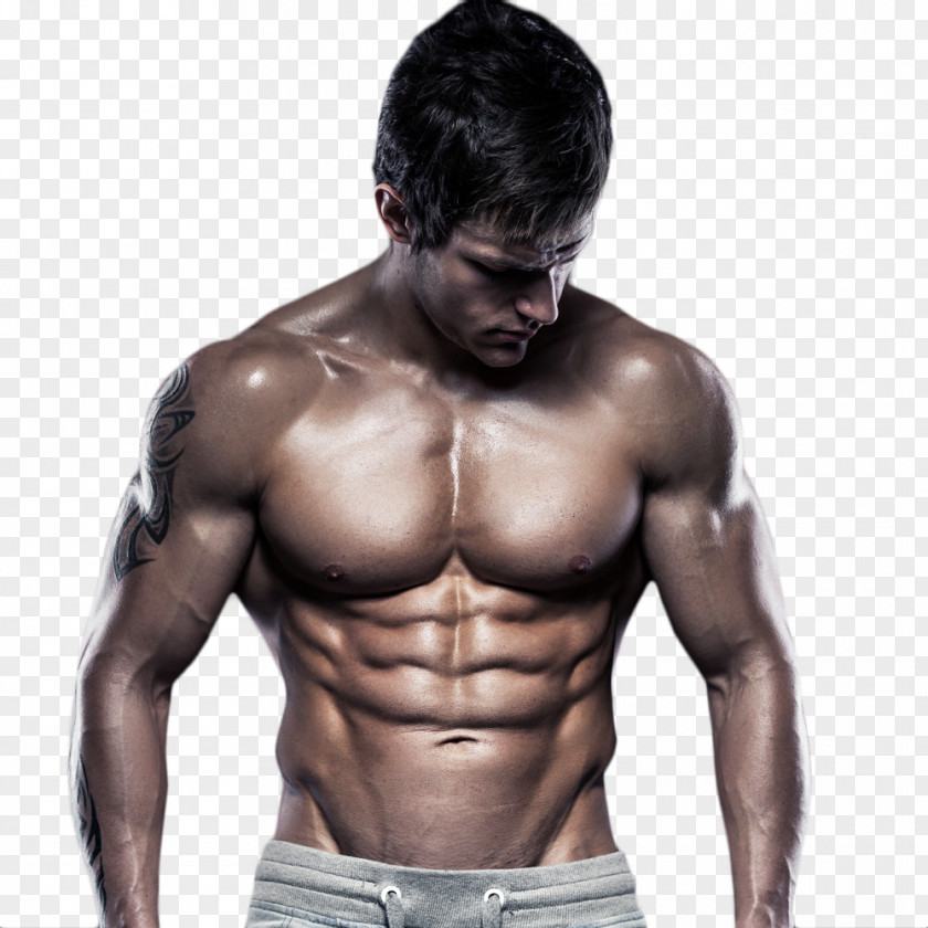 Q Rectus Abdominis Muscle Abdominal Exercise Electrical Stimulation Physical Abdomen PNG