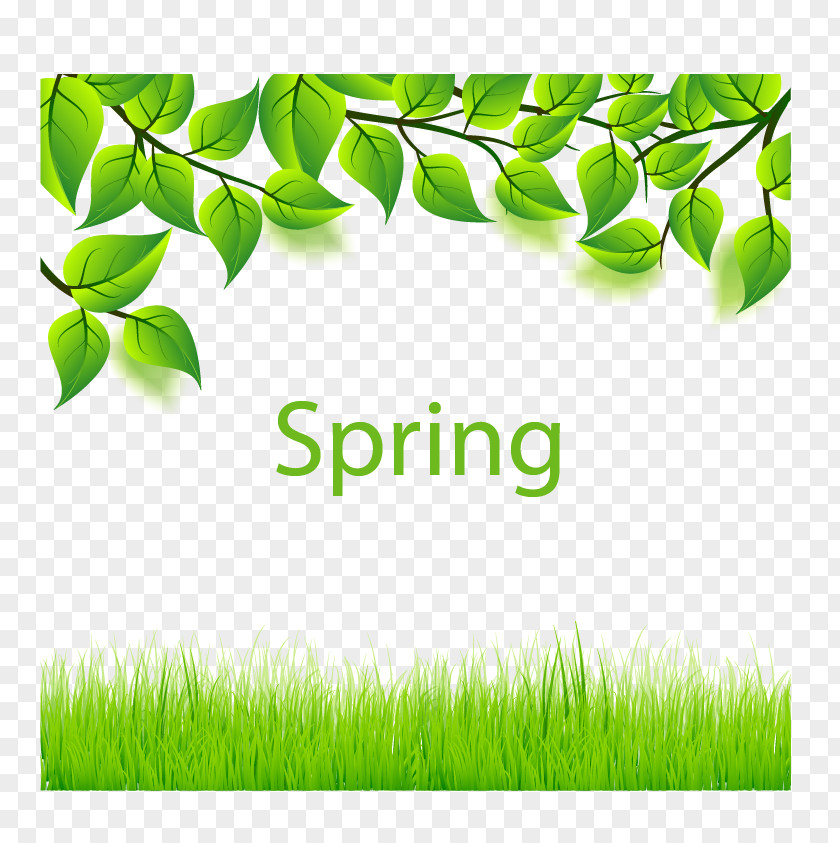 Spring Green Leaves And Grass Euclidean Vector Leaf PNG