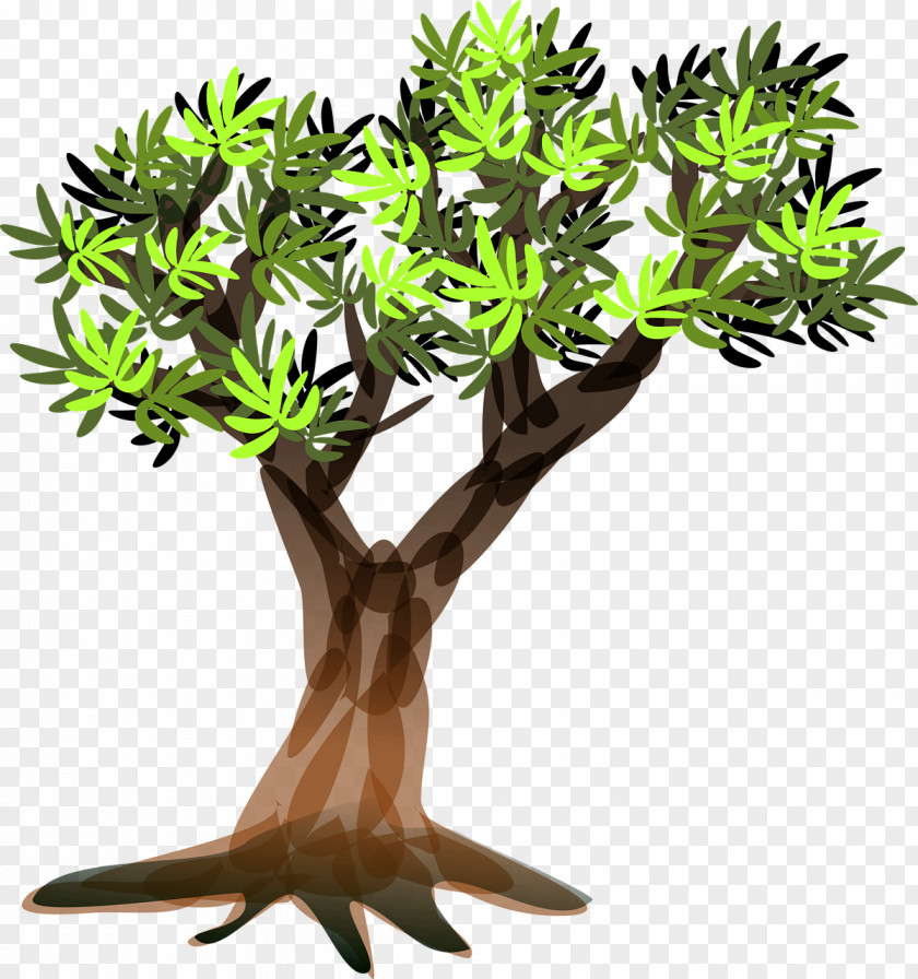 Tree Clip Art Vector Graphics VIDHI CENTRE FOR LEGAL POLICY Image PNG