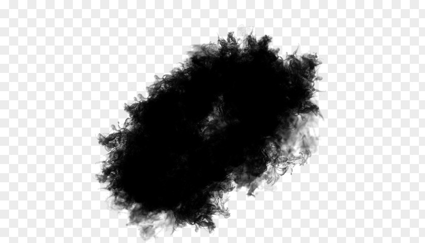 Blackandwhite Feather Boa Hair Black Fur Eyelash PNG