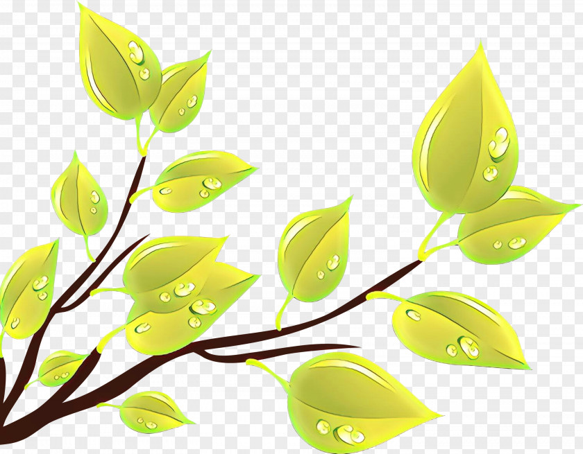 Branch Flower Leaf Green Plant Yellow PNG