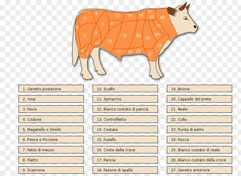 Meat Taurine Cattle Cut Of Beef Clip Art PNG