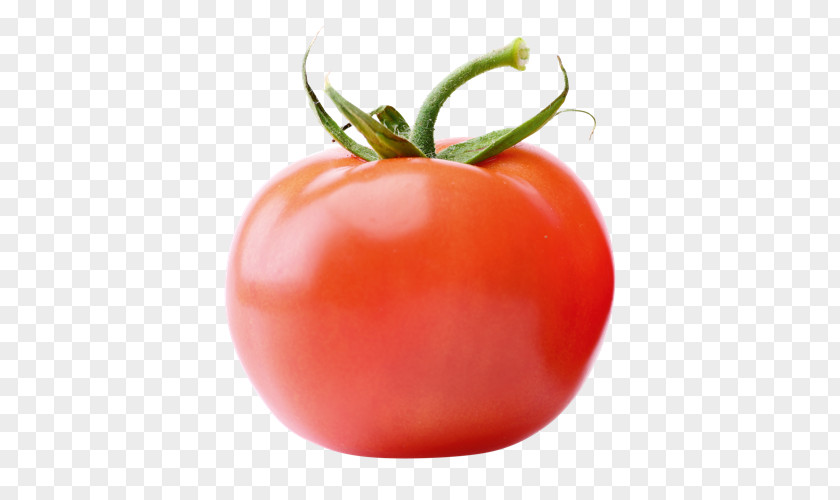 Tomato Plum Vegetarian Cuisine Food Vegetable PNG