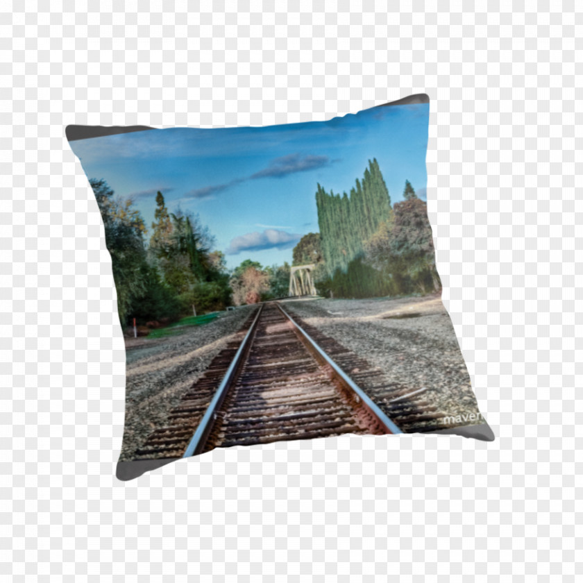 Union Pacific Railroad Cushion Throw Pillows PNG