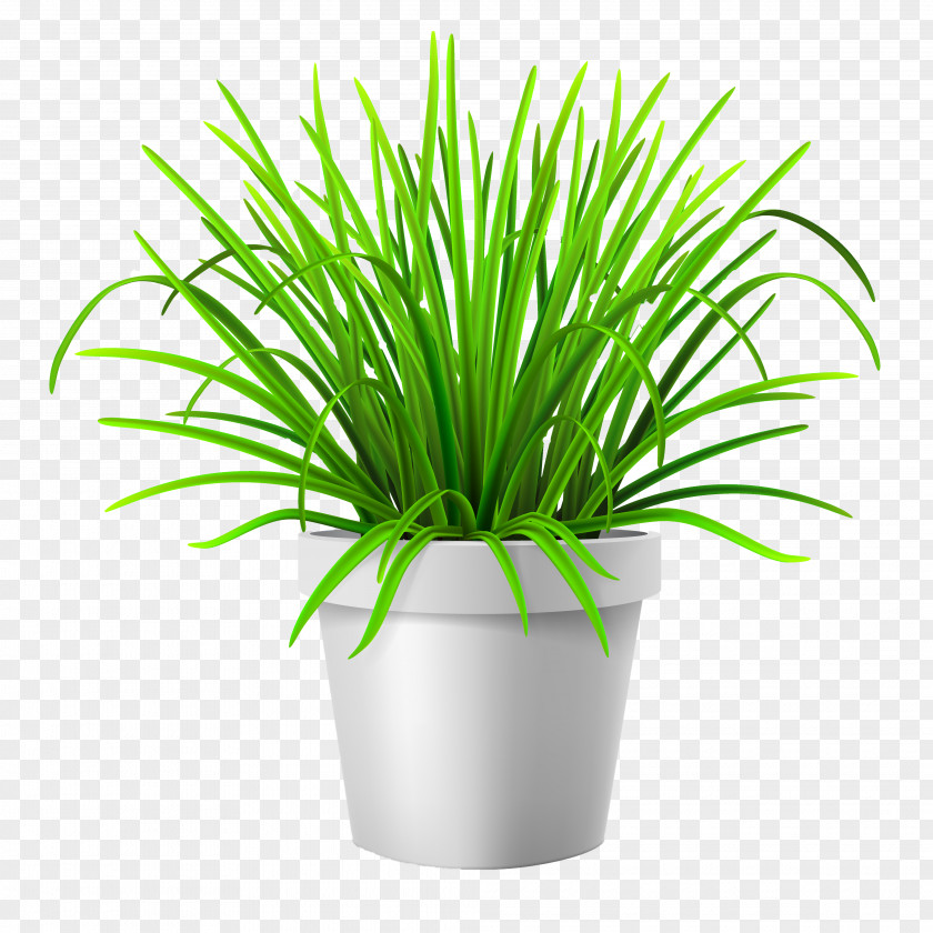 Vector Grass Flowerpot Lawn Vase Illustration PNG