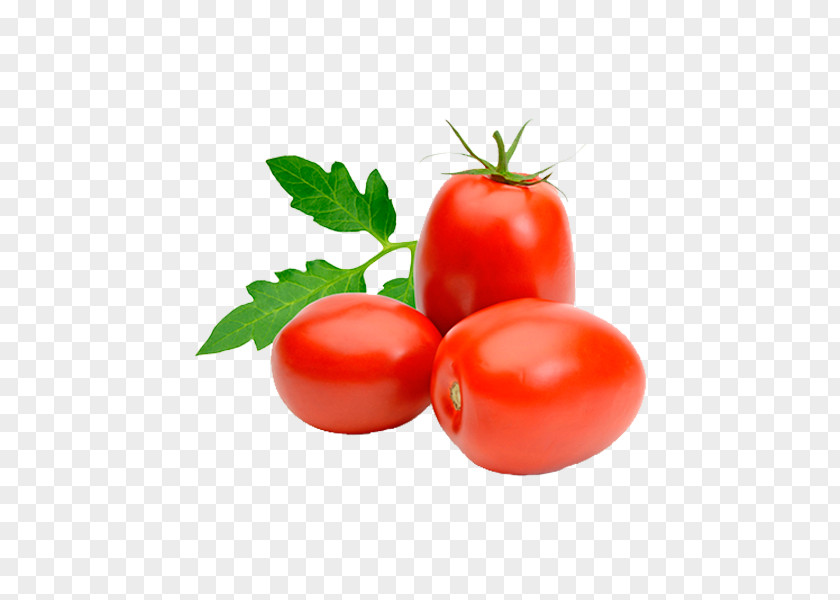 Vegetable Italian Cuisine Roma Tomato Plum Soup PNG