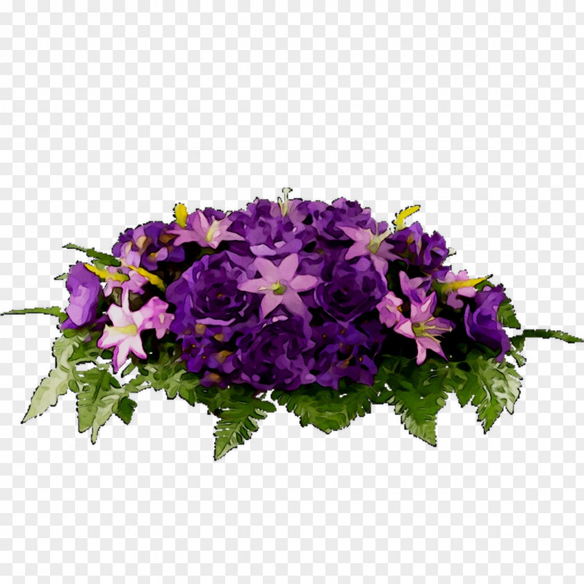 Vervain Annual Plant Floral Design Primrose PNG