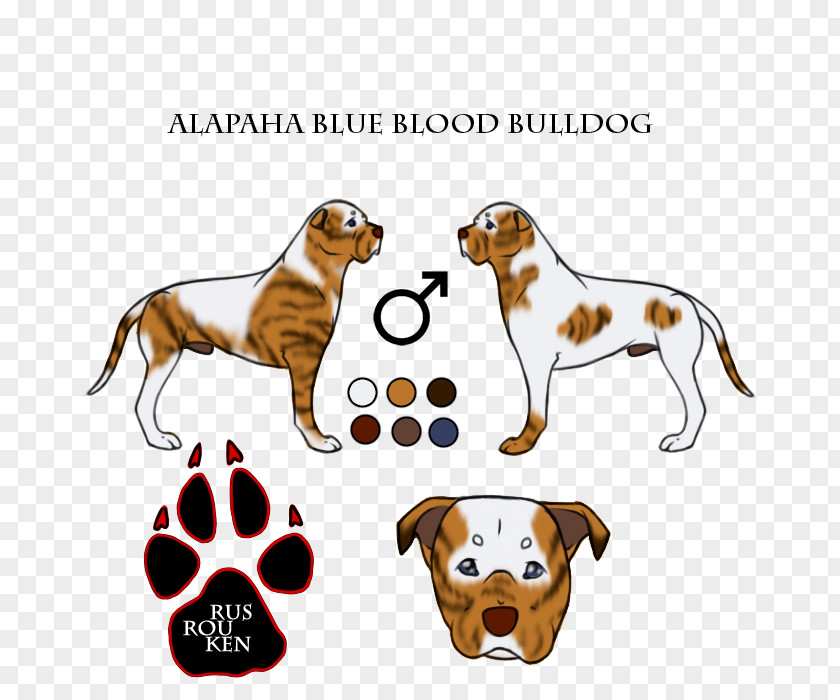 Alapaha Blue Blood Bulldog Dog Breed Puppy Paw Walking PNG