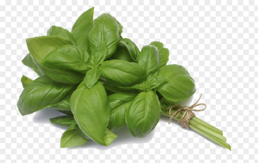Benefits Of Eating Raw Garlic Basil Mediterranean Cuisine Herb Thyme Mints PNG