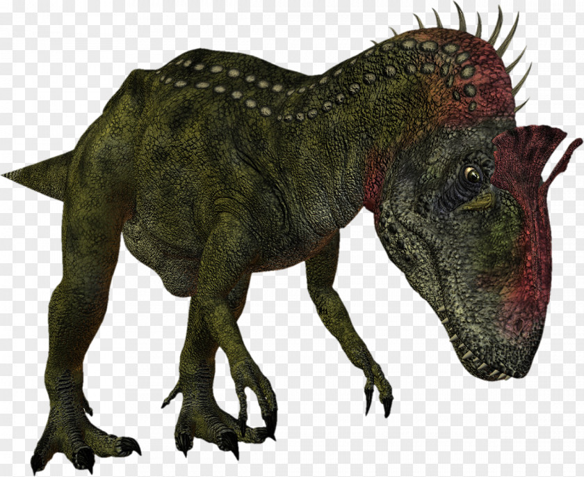 Dinosaur Ceratosaurus Tyrannosaurus Velociraptor Dilophosaurus PNG