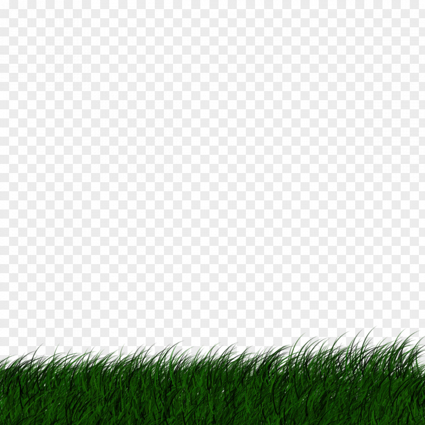 Grass Banner Desktop Wallpaper Lawn Image Transparency PNG