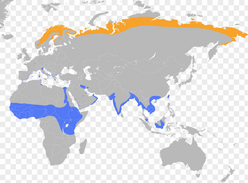 Map Japan World Globe PNG