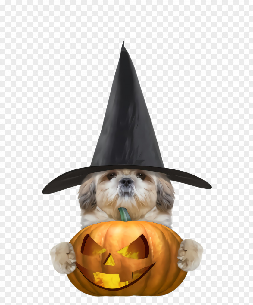 Shih Tzu Pumpkin Party Hat PNG