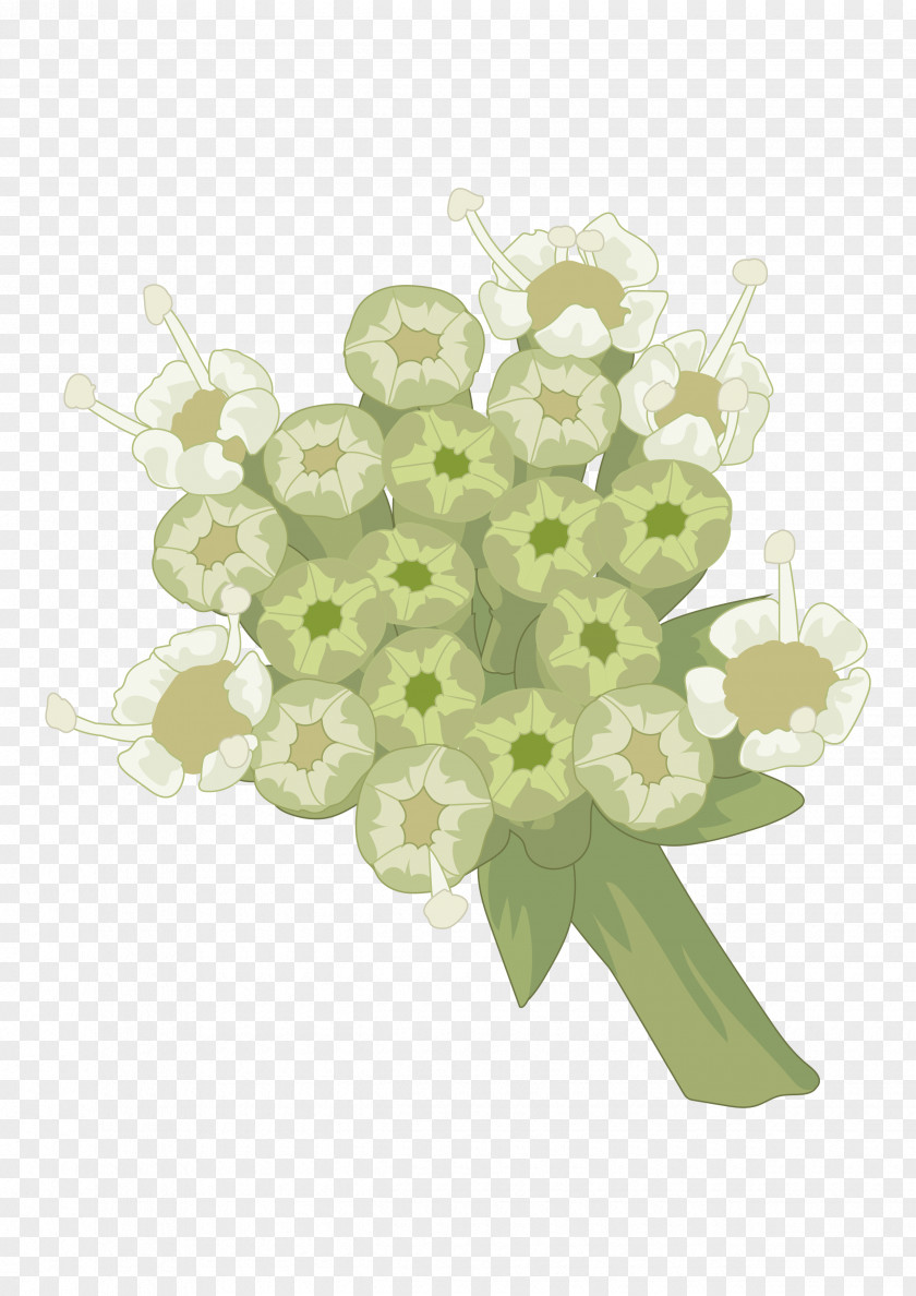 Flor Cut Flowers Plant Leaf Petal PNG