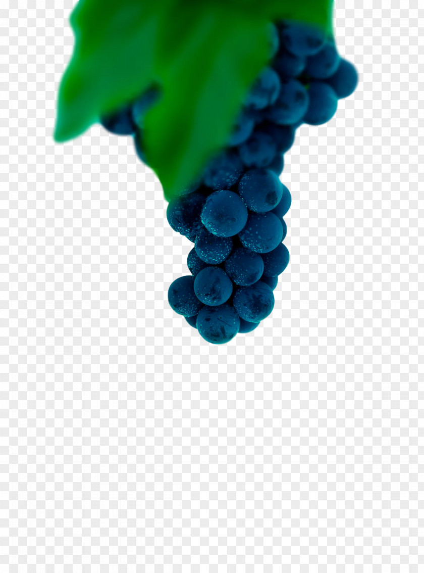 Grape Grapevines Cobalt Blue Fruit Turquoise PNG