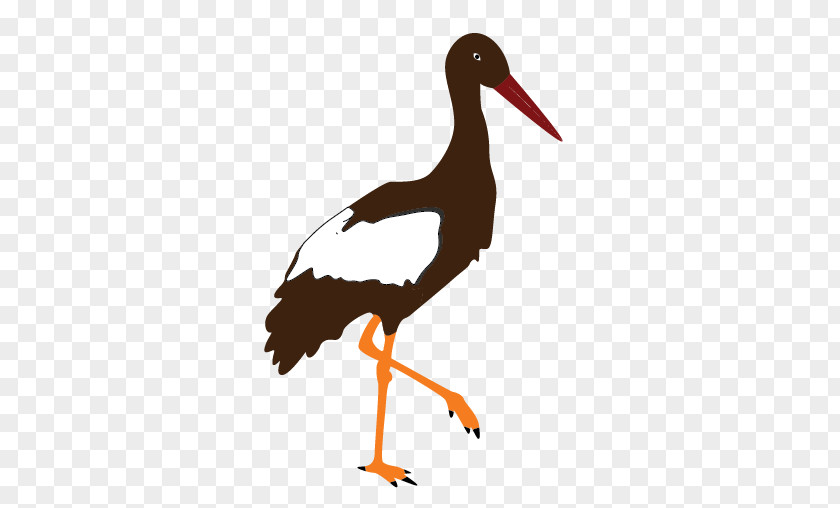 Marabou Stork Clip Art PNG