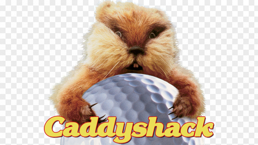 Shack Where The Wild Things Are Caddyshack Art Pillow Gopher PNG