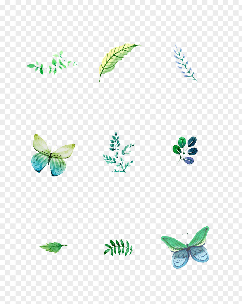 Butterfly Illustration PNG