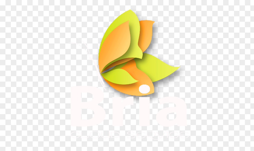 Cloud Service Butterfly Logo Desktop Wallpaper Font PNG