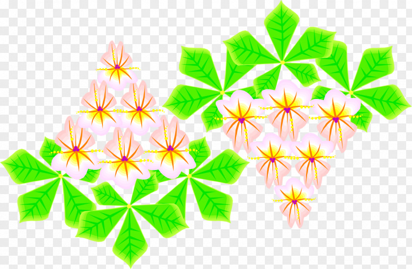 Herbaceous Petal Floral Design Line Symmetry Leaf PNG