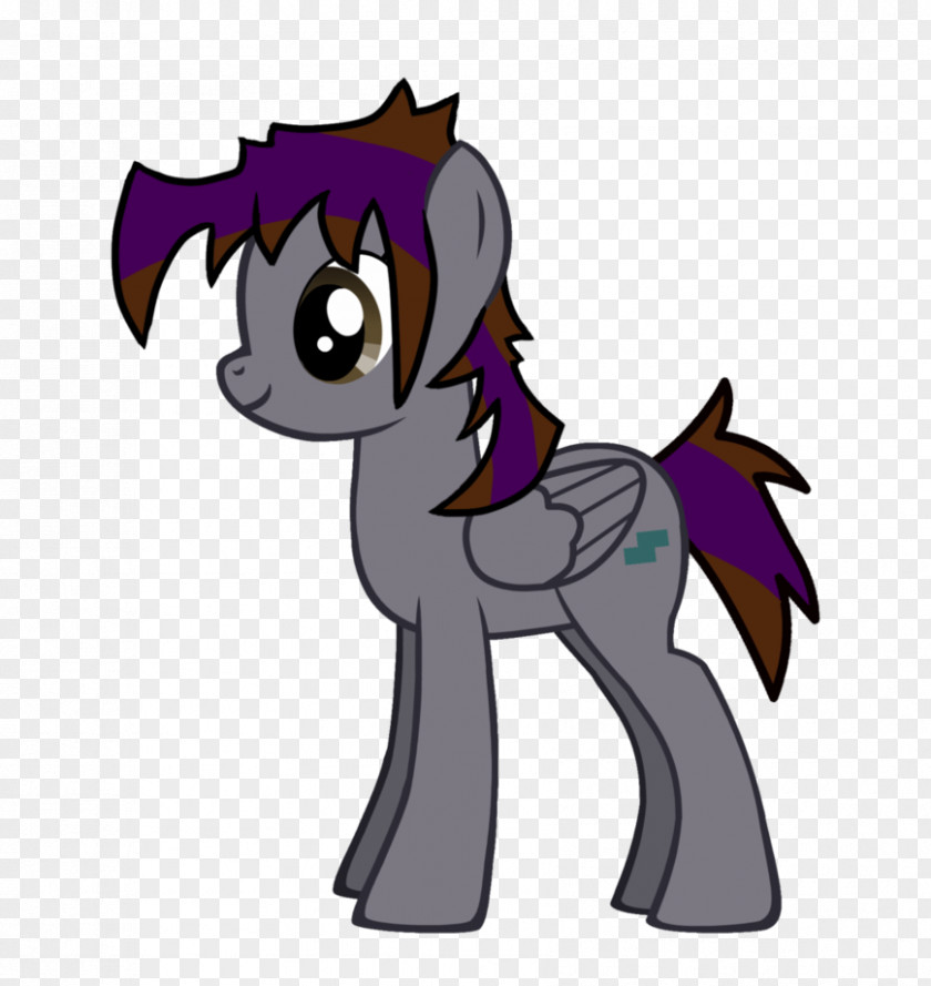 PONYTAIL HAIR Twilight Sparkle Pony Rarity Rainbow Dash Applejack PNG