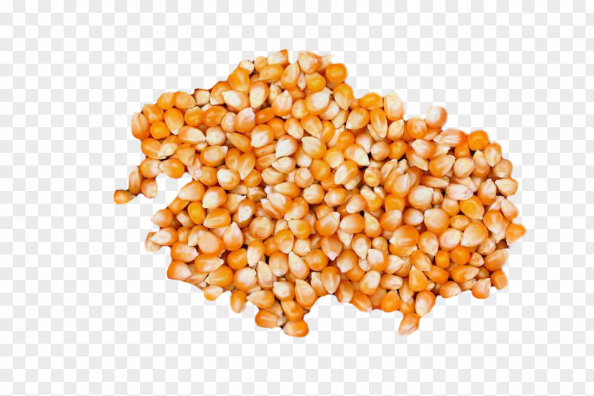 Wheat Vegetarian Cuisine Food Grain Maize Cereal PNG