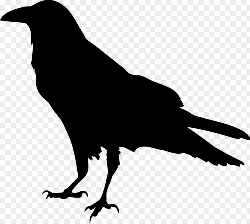 Crow Silhouette Drawing Clip Art PNG
