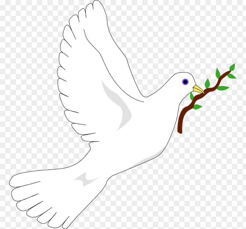Dove Graphics Columbidae Peace Symbols Olive Branch Doves As PNG