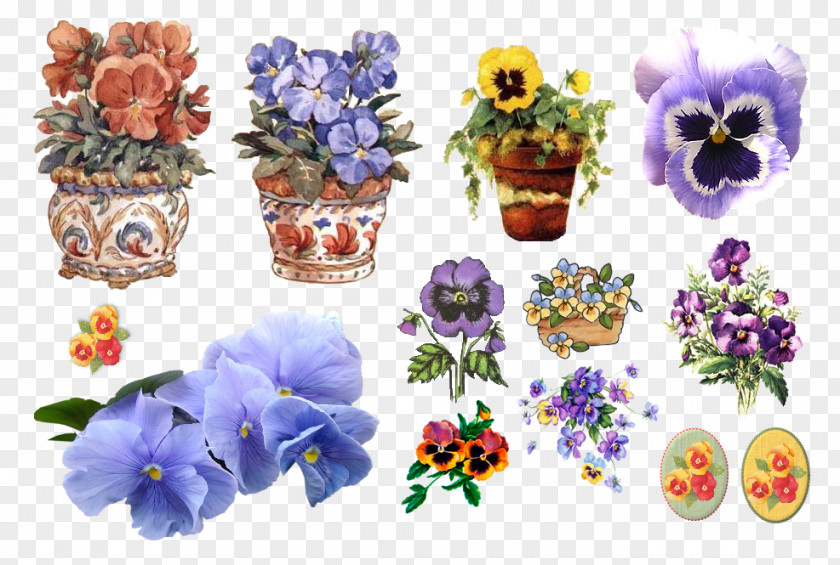 Flower Floral Design Cut Flowers Pansy Drawing PNG