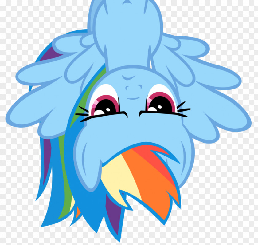 Vector Pony Rainbow Dash Beak Character PNG